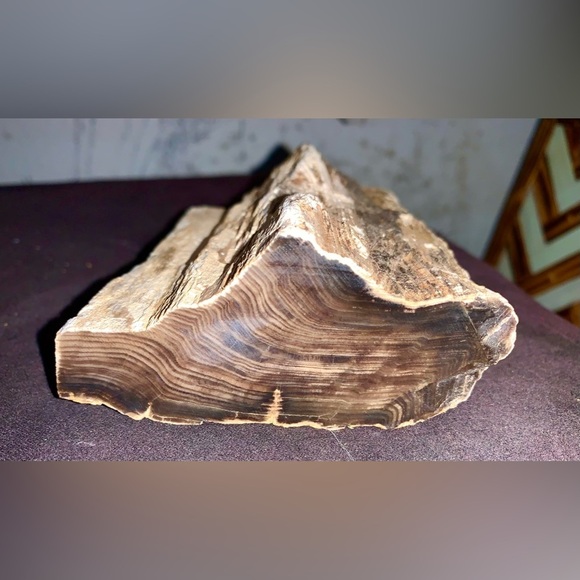 Petrified Wood Chunk almost 2 pounds! - Picture 6 of 8